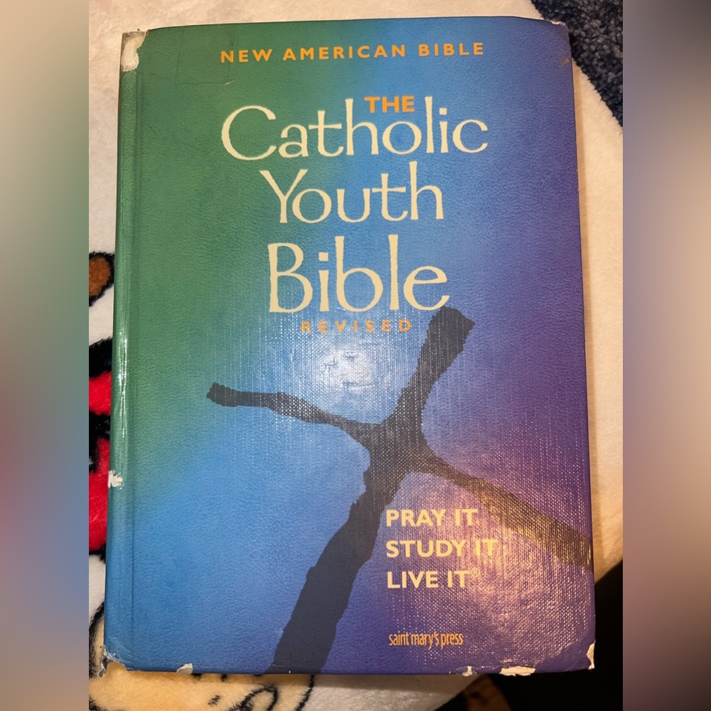 Catholic Youth Bible Revised. ISBN 978-0-88489-798-9. Good condition, hardback